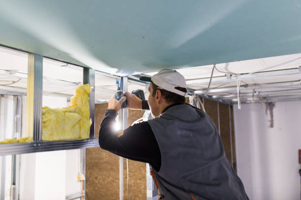 Best Insulation Maintenance and Repair in Perryville, MO